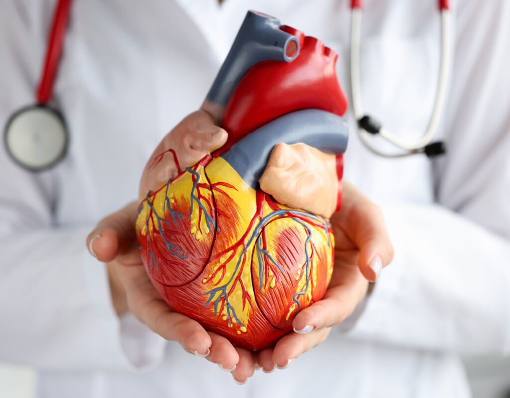 Cardiologie Clinique Méditerranéenne